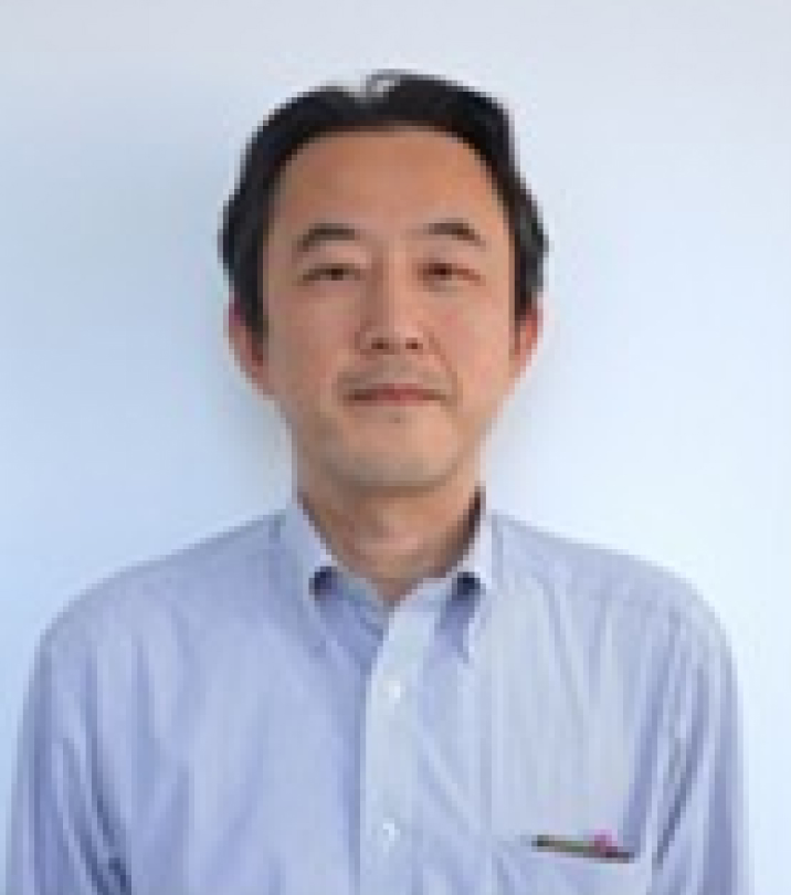 ⽯井 康友